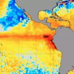 cienstistas novo el niño