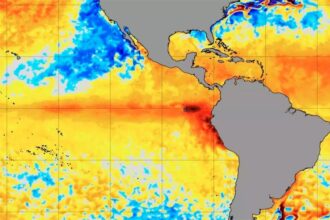 cienstistas novo el niño