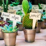 mini plantas